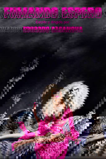 Poster of Fumando Espero