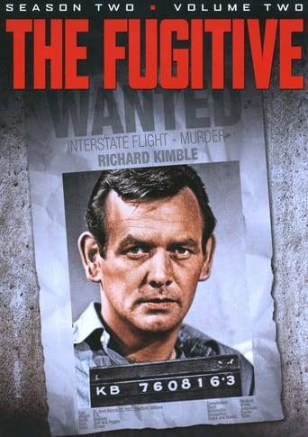 Portrait for The Fugitive - Season 2