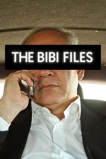 Poster of The Bibi Files