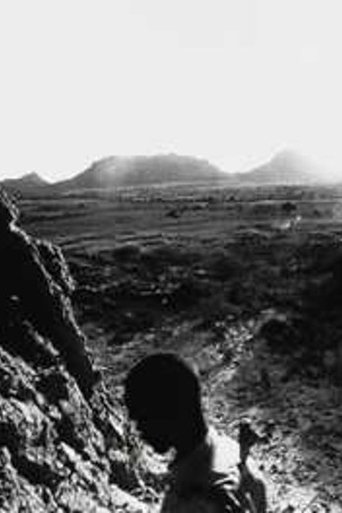 Poster of They Turned Our Desert Into Fire