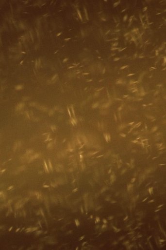 Poster of A Heap of Broken Images