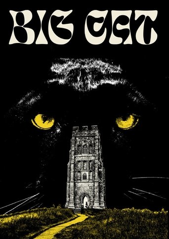 Poster of Big Cat