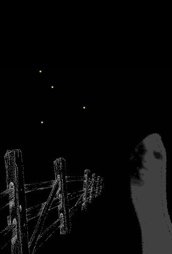 Poster of Fireflies Along the Fence