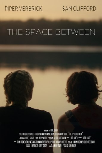 Poster of The Space Between