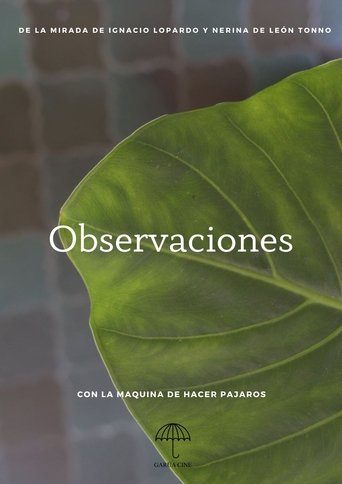 Observaciones Poster of Observaciones