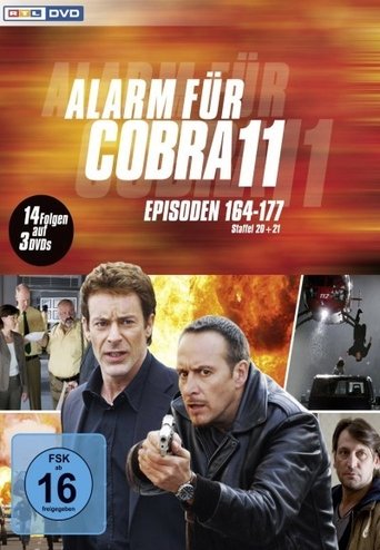 Portrait for Alarm for Cobra 11: The Motorway Police - Season 20