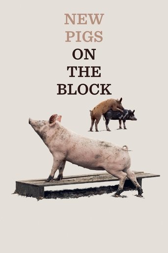 New Pigs on the Block Poster of New Pigs on the Block