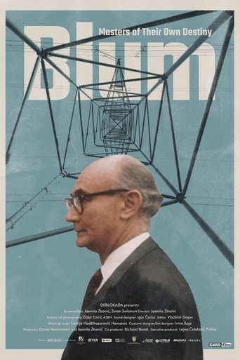 Poster of Blum: Masters of Their Own Destiny