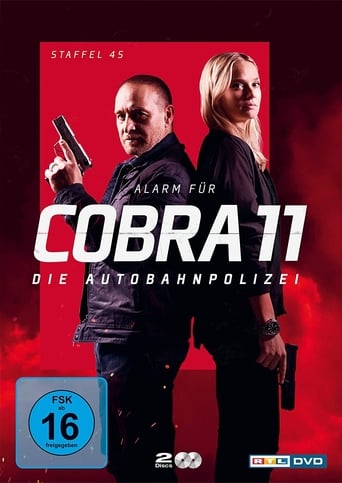 Portrait for Alarm for Cobra 11: The Motorway Police - Season 47