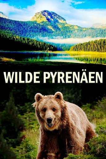 Wild Pyrenees Poster of Wild Pyrenees