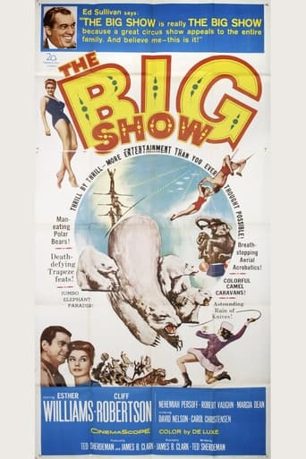 Poster of The Big Show