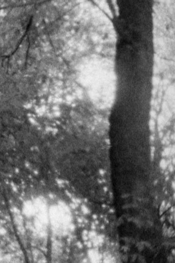 Untitled 1 Poster of Untitled 1