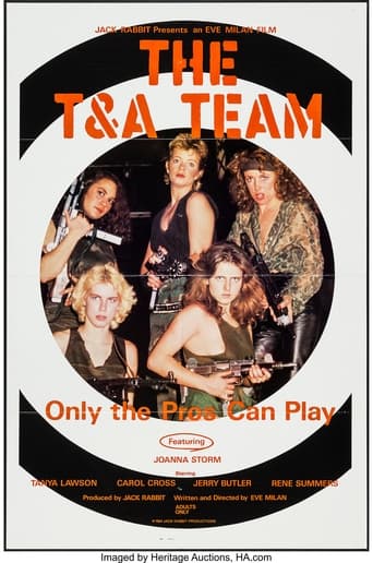 Poster of The T & A Team