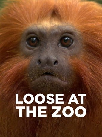 Poster of Loose at the Zoo