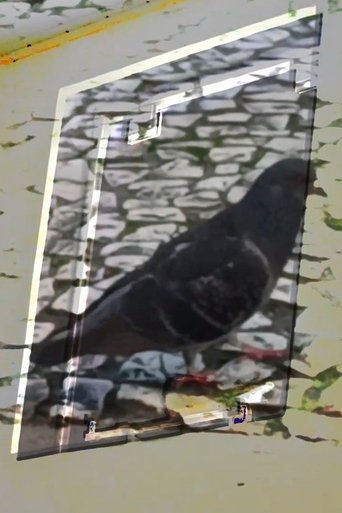 Poster of não tenho dormido muito mas continuo sonhando a cada piscada