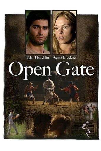 Poster of Open Gate