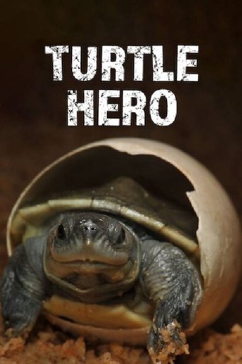 Turtle Hero Poster of Turtle Hero