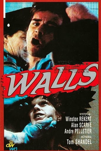 Poster of Walls