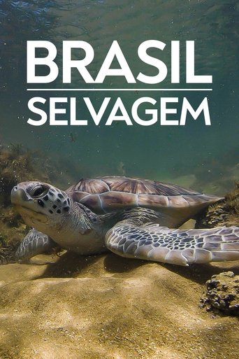 Portrait for Brazil Untamed - Coastline of Brazil
