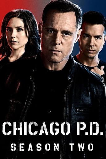 Portrait for Chicago P.D. - Season 2