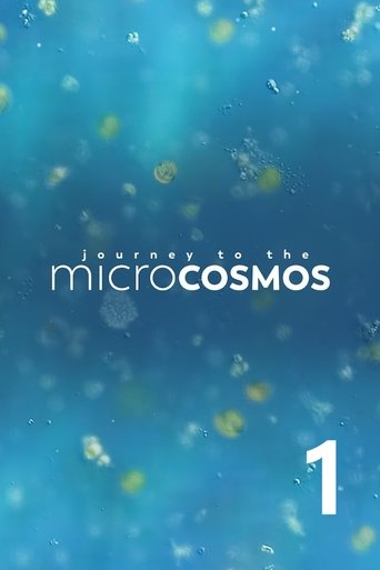 Portrait for Journey to the Microcosmos - Season 1