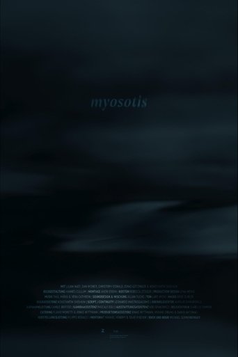 Myosotis Poster of Myosotis