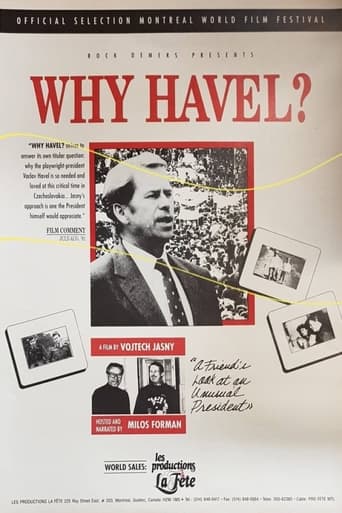 Poster of Why Havel?