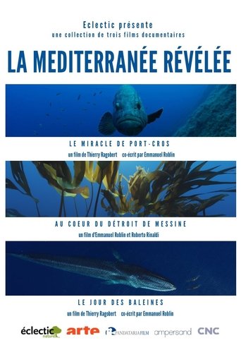 Portrait for La Méditerranée révélée - Season 1
