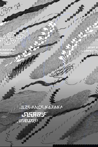 Poster of Debris