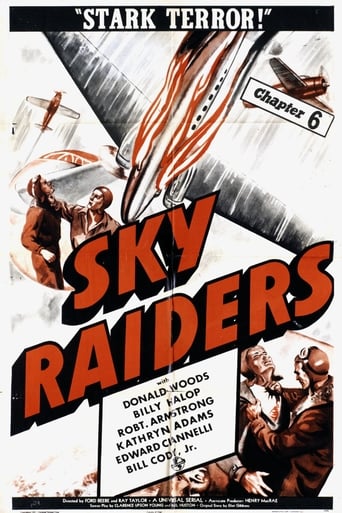Poster of Sky Raiders