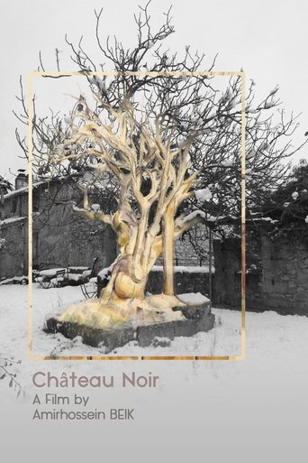 Poster of Château Noir