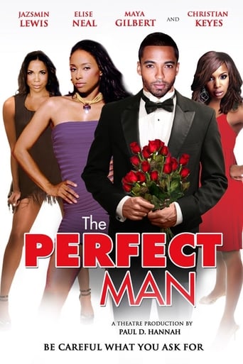 Poster of The Perfect Man