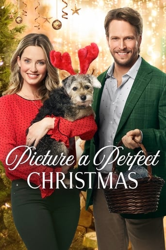 Poster of Picture a Perfect Christmas