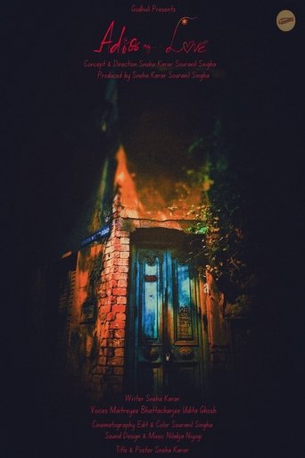 Poster of Adios My Love