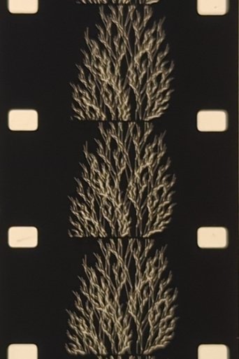 Poster of From the Family of Eggs