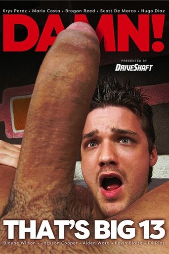 Poster of Damn That's Big 13