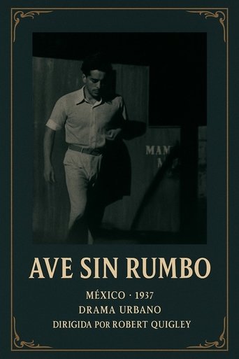 Ave sin rumbo Poster of Ave sin rumbo