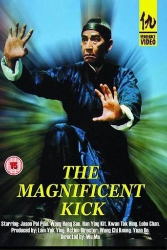 Poster of The Magnificent Kick