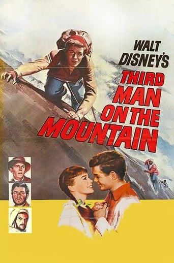 Poster of Third Man on the Mountain
