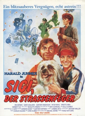 Poster of Sigi, der Straßenfeger