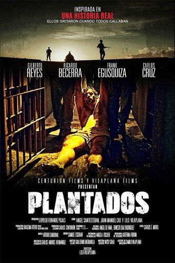 Plantados Poster of Plantados