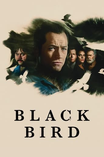 Poster of Black Bird