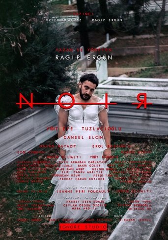 Poster of Noir