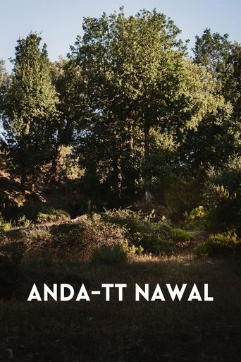 Poster of Anda-tt Nawal