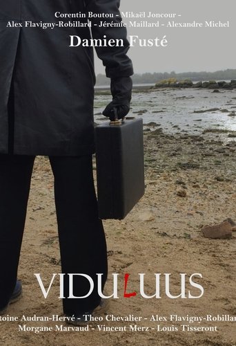 Poster of ViduLuus