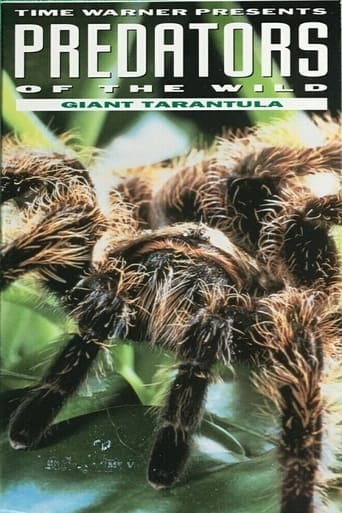 Poster of Predators of the Wild: Giant Tarantula