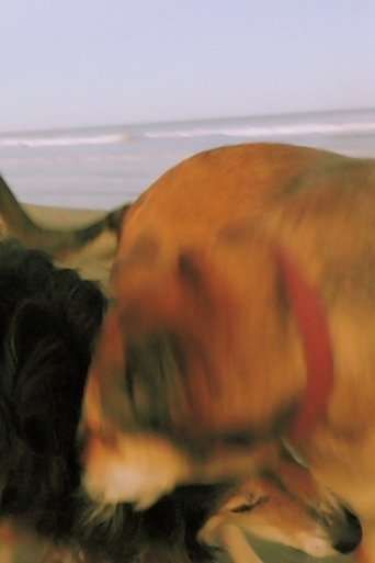 Poster of From The 20s In the 80s