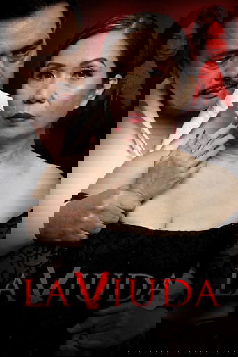 Poster of La Viuda