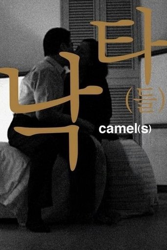 Camel(s) Poster of Camel(s)