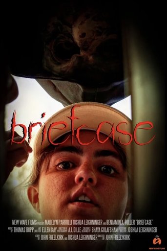 Briefcase Poster of Briefcase